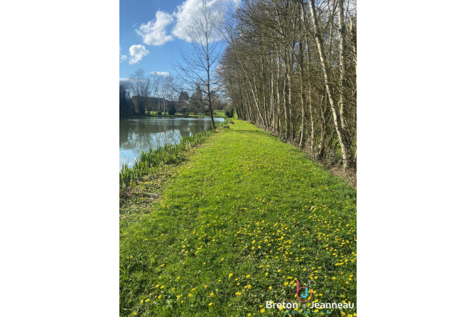 Etang sur 3 hectares de terrain - Secteur Mayenne