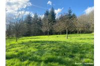 Etang sur 3 hectares de terrain - Secteur Mayenne