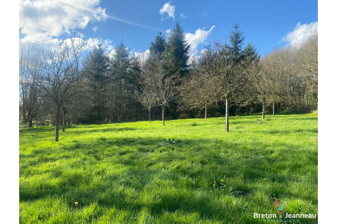 Etang sur 3 hectares de terrain - Secteur Mayenne