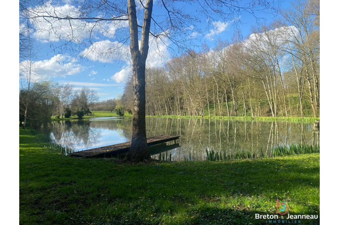 Etang sur 3 hectares de terrain - Secteur Mayenne