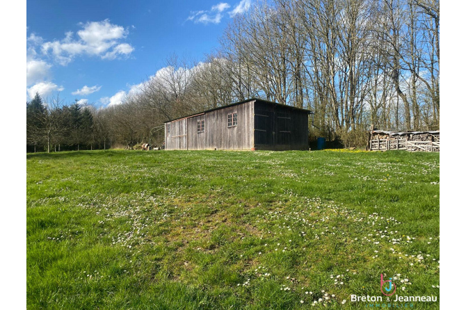 Etang sur 3 hectares de terrain - Secteur Mayenne