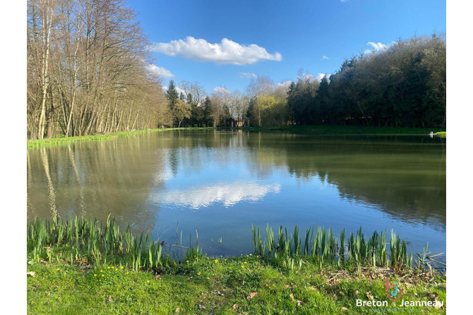 Etang sur 3 hectares de terrain - Secteur Mayenne