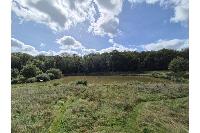 Fermette sur 3 ha 42 avec plan d'eau de 2 ha secteur Andouillé