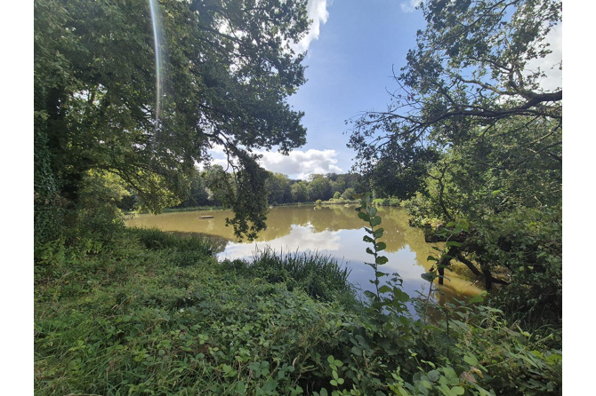 Fermette sur 3 ha 42 avec plan d'eau de 2 ha secteur Andouillé