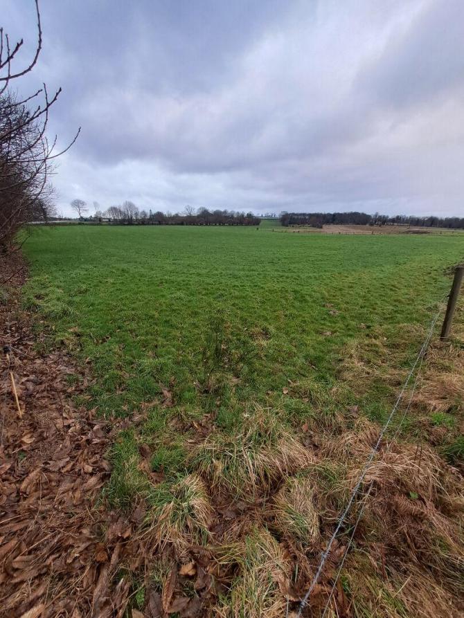 Terrain agricole de 3ha 84 loué à St Mars sur la Futaie