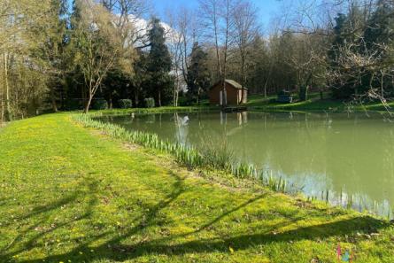 Etang sur 3 hectares de terrain - Secteur Mayenne